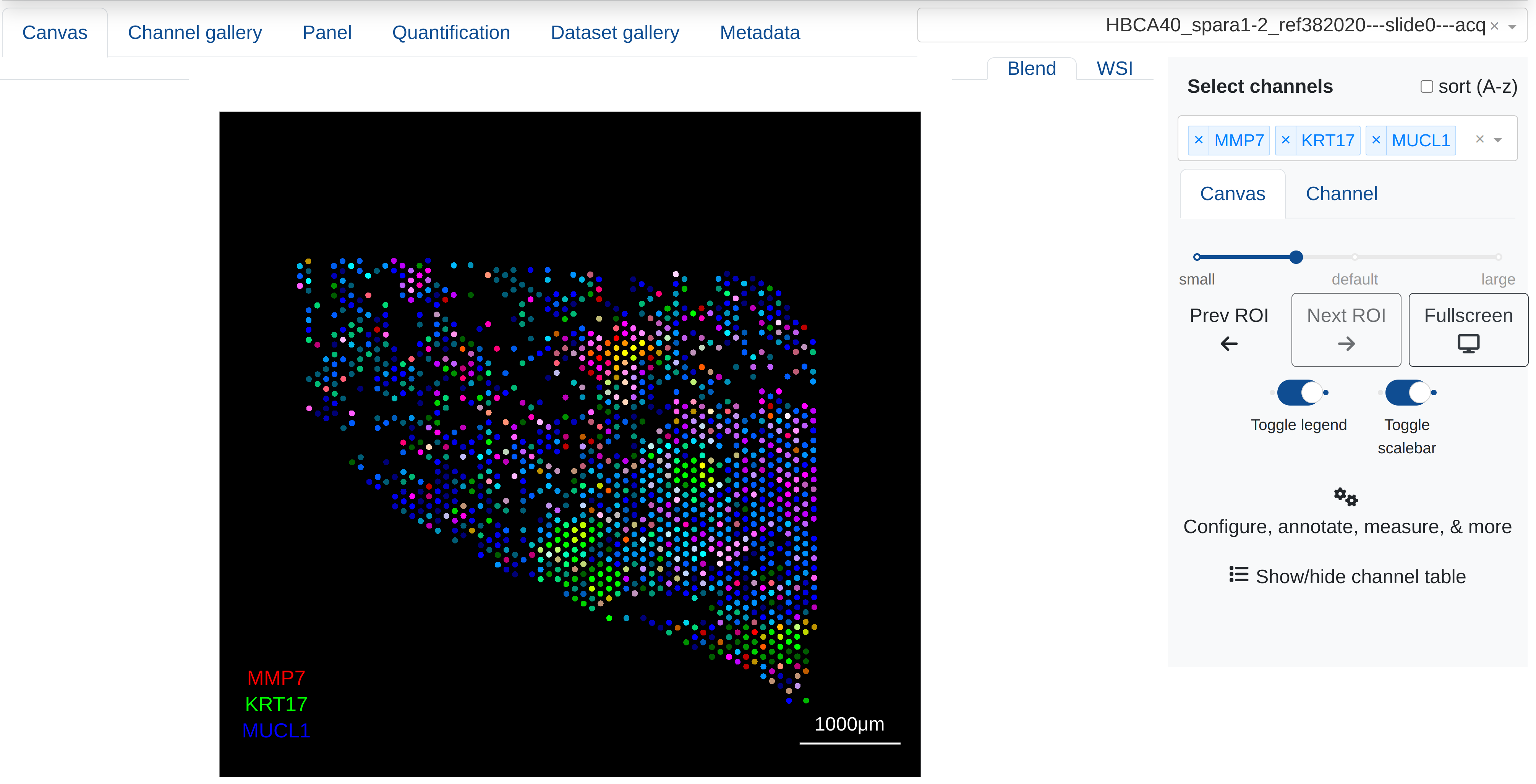 Use drag and drop or local directory import to load and  analyze a wide variety of imaging datasets seamlessly in the browser.